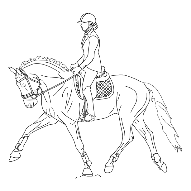 JCKurovtSolaJahanjaSkofjaLoka